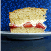 home made sponge cake